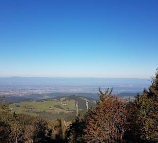 Wandern Freiburg im Breisgau