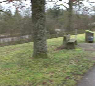 Friedhof "Neue Wiesen" Pliezhausen