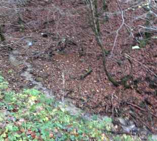 Wandertour "Rund um den Rossberg" Öschingen