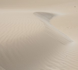 Wüstenlandschaft während Ausflug