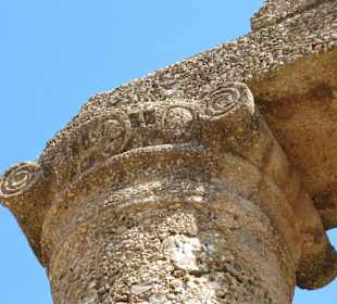 Dettaglio