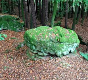 Rundgang durch die Ebnether Felsenkeller
