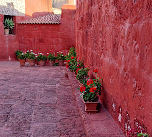 Santa Catalina Kloster