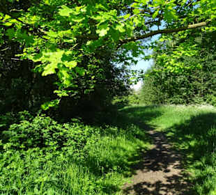 Spaziergang am südlichen Ufer des Sees