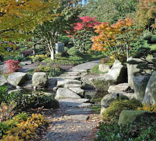 Im Japanischen Garten von "Planten un Blomen"