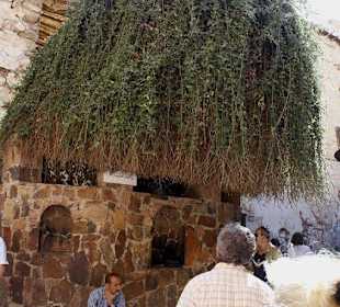 Brennender Dornbusch