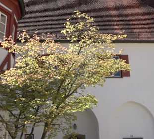 Katholisches Pfarramt Nördlingen