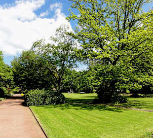 Impressionen aus dem Stadthallengarten