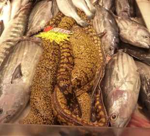 Im Mercado Central von Las Palmas