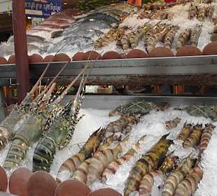 Leckere Schalentiere