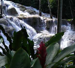 Dunn´s River Falls