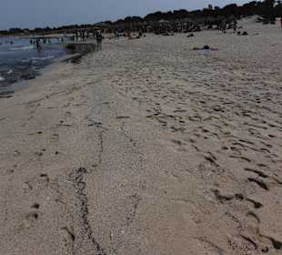 Der "weiße Strand"