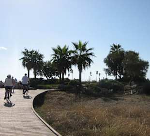 Weg zum Strand