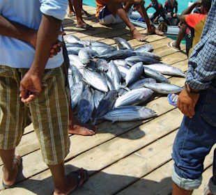 Hafenkai Santa Maria