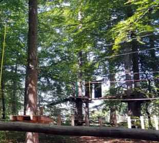 K1 Waldseilpark Fröhnerhof in Mehlingen
