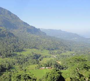 Nuwara Eliya