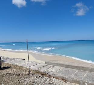 Im Bereich des National Parks