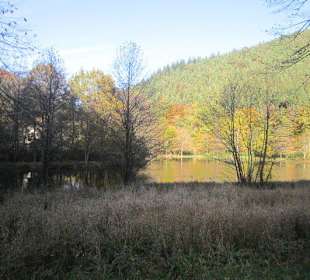 Der wunderschöne Helmbachweiher