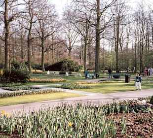 Blumenpracht im Keukenhof / Holland