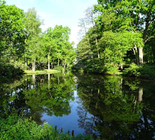 Hauptblüte im Rhododendronpark Bremen