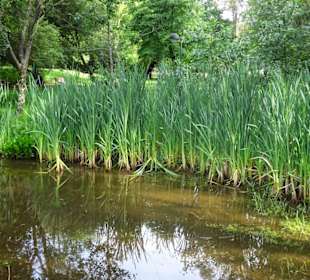 Impressionen aus dem Parque da Cicade