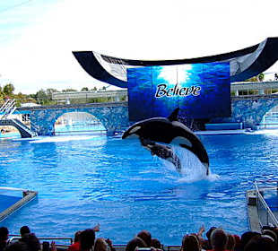 Sea World