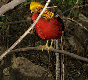 Bin ich nicht schön?