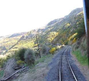 Mitder Taileri Railway durch die Natur Neuseelands