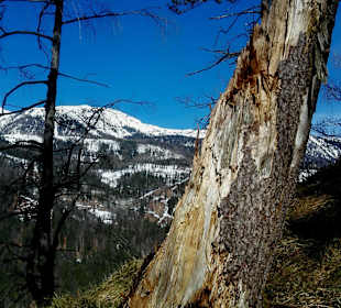 Wandern Sankt Pankraz