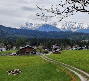 Wandern Leutasch