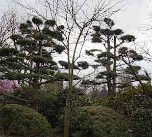 Anlage Planten un Blomen