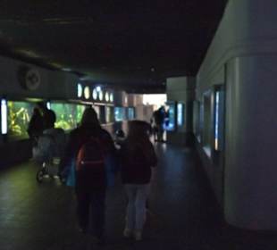 Aquarium