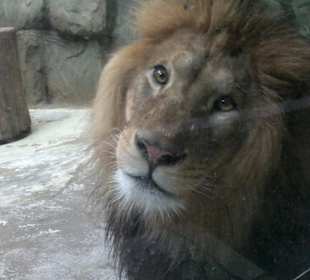 Zoo Olomouc