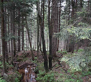 Karkonoski Park Narodowy
