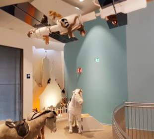 Steiff Museum