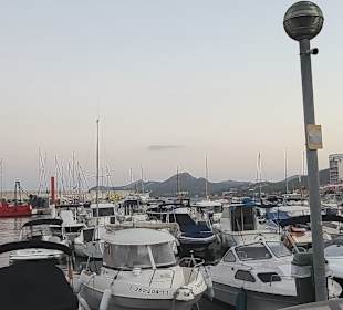 Yachthafen Cala Ratjada