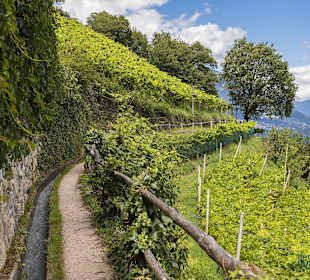 Der Marlinger Waalweg als beliebter Wanderweg