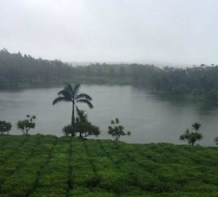Aussicht vom Restaurant
