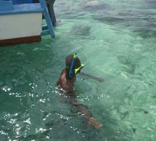 Ausflug Glasbodenboot Diani Beach