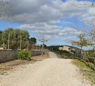 Radwanderweg Vía Verde zwischen Manacor und Arta
