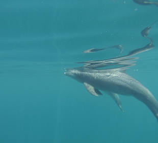 Ausflug mit Joseph&Marlen