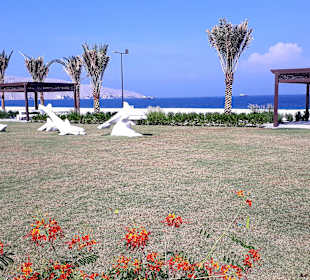 Bassa Beach