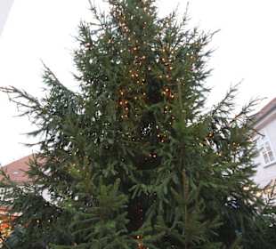 Tannenbaum noch ohne Licht