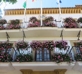 Blumengeschmücktes Rathaus