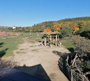 Zoologischer Garten Prag