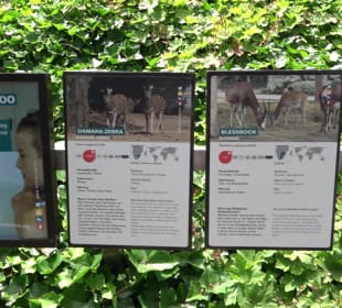 Zoo Heidelberg