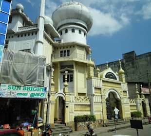 Elefantenreiten Sigiriya