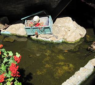 Blue Lagoon Pirate Bar