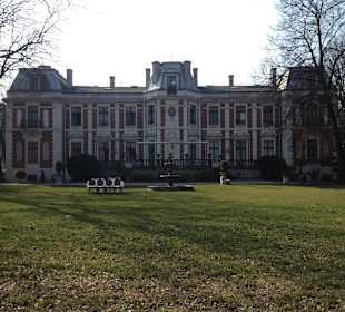 Restauracja Endorfina