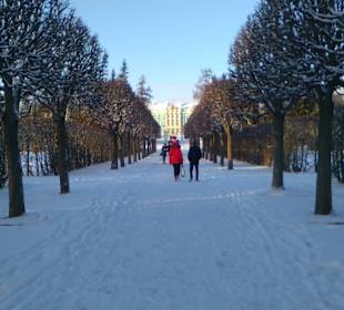 Дворцовый парк